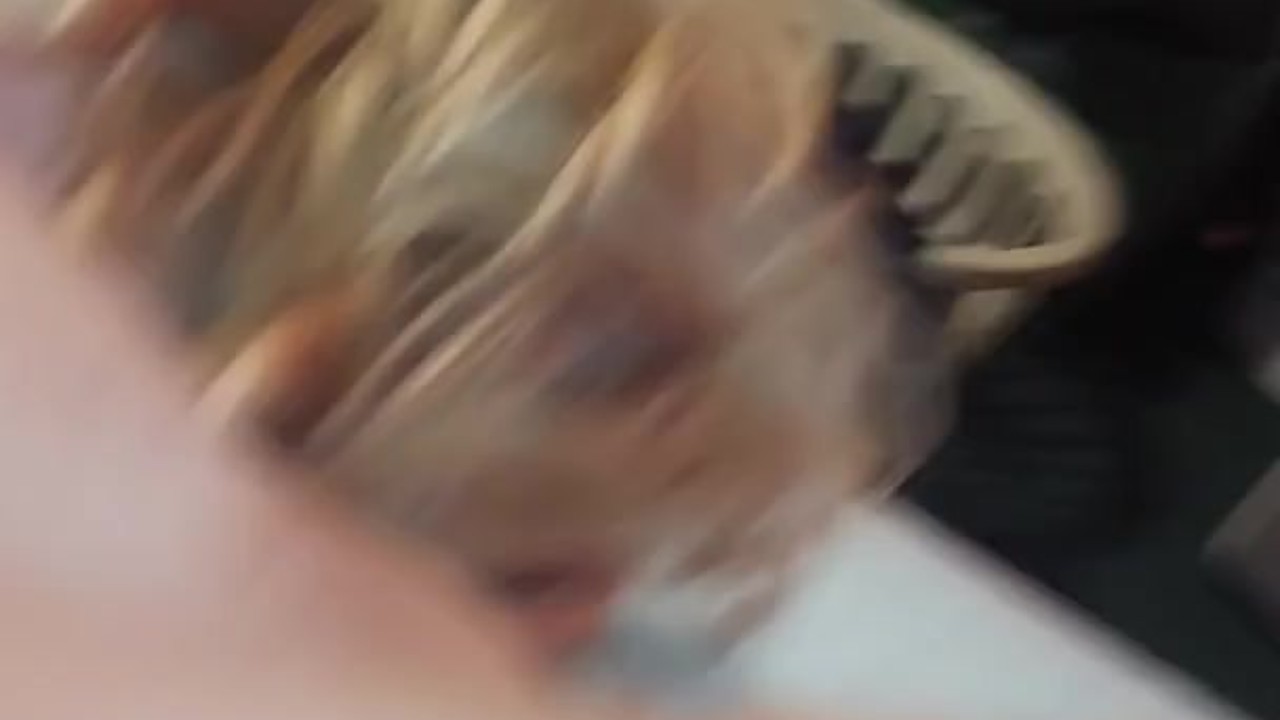 Spun blowjob and reverse cowgirl with sister in law - Free Sex Video - RedTube