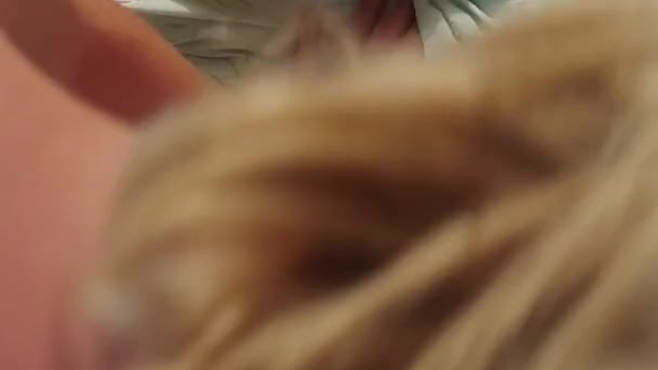 Spun blowjob and reverse cowgirl with sister in law - Free Sex Video - RedTube