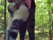 WE ARE ALWAYS HORNY | BACKSHOTS ON A NATURE WALK. 2/16