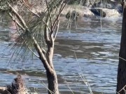 Nude River Swim and Fucking 11/16