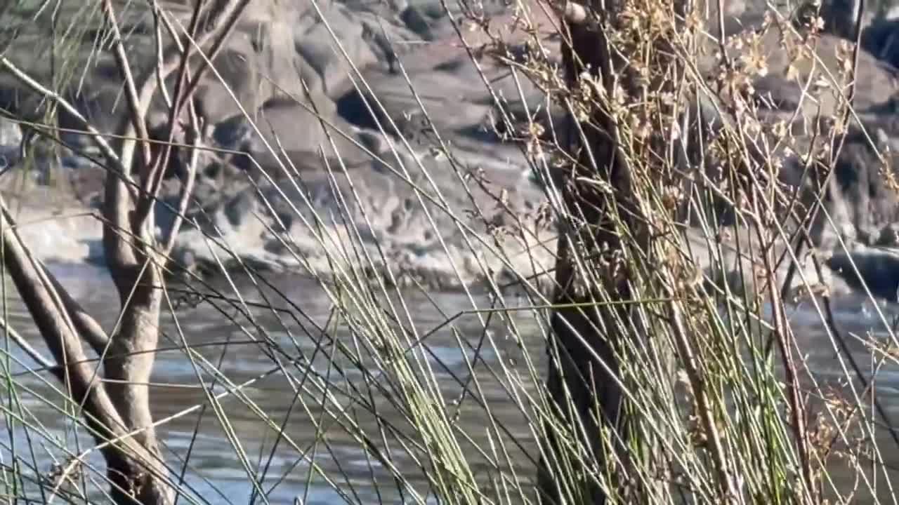 Nude River Swim and Fucking - Free Sex Video - RedTube
