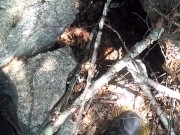 Pissing for you 😉😉