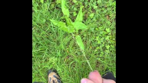 Fondling and Marking my territory in the forest. Lots of pee!