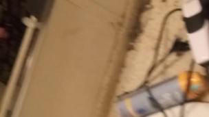  cock