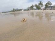 LISA NA PRAIA