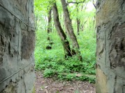 Девушка-эксгибиционистка прогуливается по заброшенным зданиям 9/16