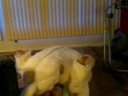 EASTER is CUMMING (GOT HOMEMADE PARODY) 4/16