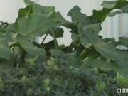 Petite Blonde Teen In A Bikini Masturbates Outdoors While a Voyeur Looks On Before Fucking Doggystyle 4/16