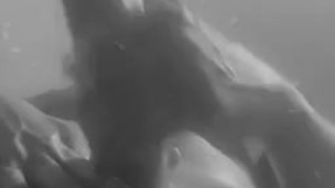 Watch Him Stroke on Snapchat