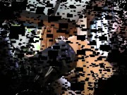 Arab lady order boot cleaning 1/16