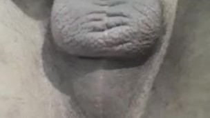 Balls And Dick