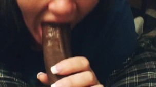 New England's Day Off 😁😁😁