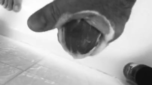 Quick cum building session in the shower