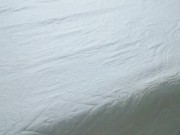 the best latin ass in the world 3/16