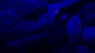 I have a blind date with a stranger and she ends up fucking me