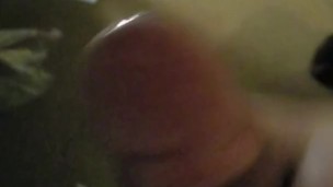 Studdednovember jack off tease