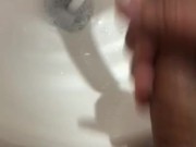 Paja brava 2