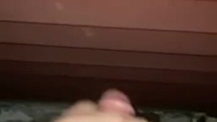 Nutted on the neighbors house 