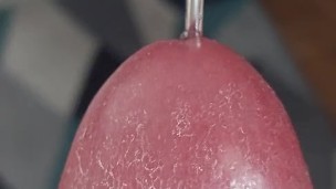 Solo Masturbate and Penis Plug