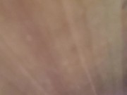 Hardwood part 1