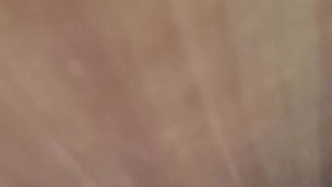 Hardwood part 1