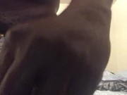 Measuring Penis  - Screenshot 7 of 16 - Big Black Dick