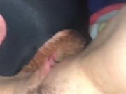 POV Oral Sex on each other leads to him cumming in her mouth while in the back seat of their suv