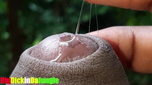 I Tease you by Playing with my Delicious Precum and Fingered my Dick Hole Extreme Close Up