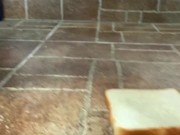 Pissing on a piece of bread 14/16