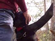 Tied to a tree on a sexy outfit, masked and outdoor deepthroat with no mercy