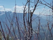 Nerdy In Nature Summit Piss 4/16