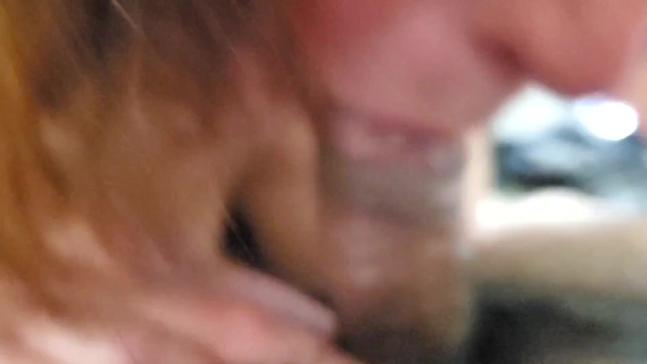 Sloppy blow job w/ neighbor while his wife's at work- uncircumcised native & Big Breasted Woman POV  - Free Sex Video - RedTube