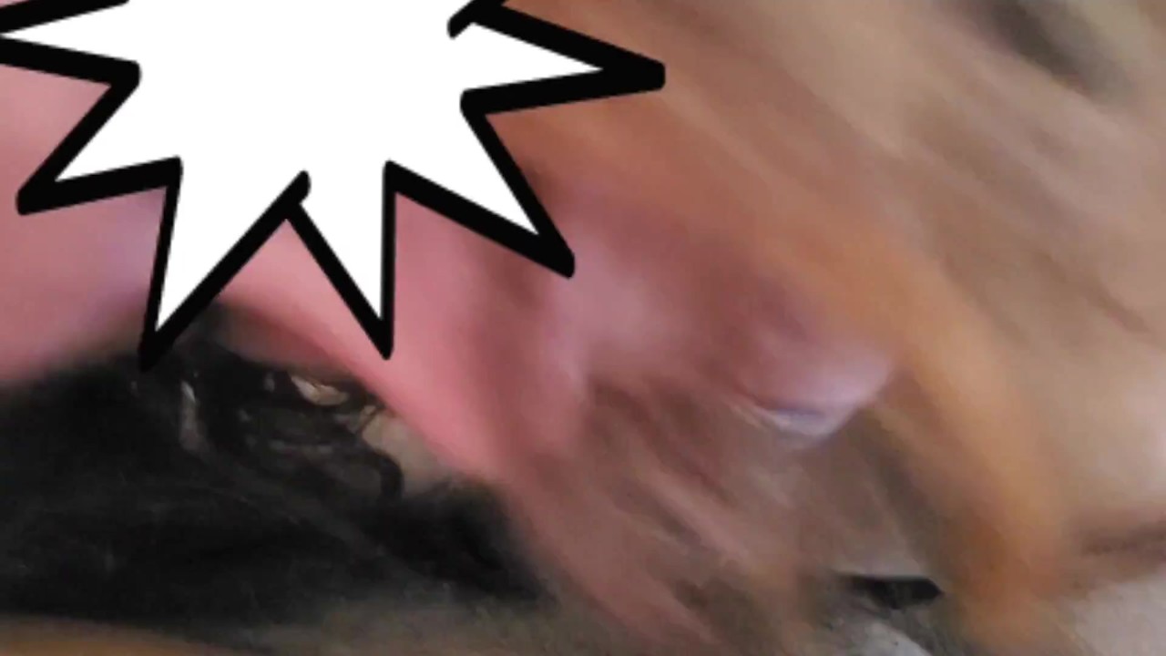 Sloppy blow job w/ neighbor while his wife's at work- uncircumcised native & Big Breasted Woman POV  - Free Sex Video - RedTube