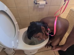 Toilet Flush - Toilet Flush Videos and Porn Movies :: PornMD
