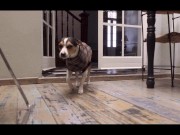 LUNA OKKO x MARIE MUR - LUNA'S JOURNEY (EPISODE 16) 2/16