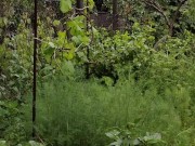 This time the rain also ended in a rainbow 12/16