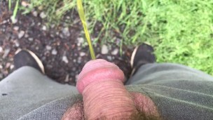 Peeing Outdoors Near Highway