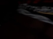 Zebra stripe back shot 16/16