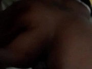 Zebra stripe back shot 5/16