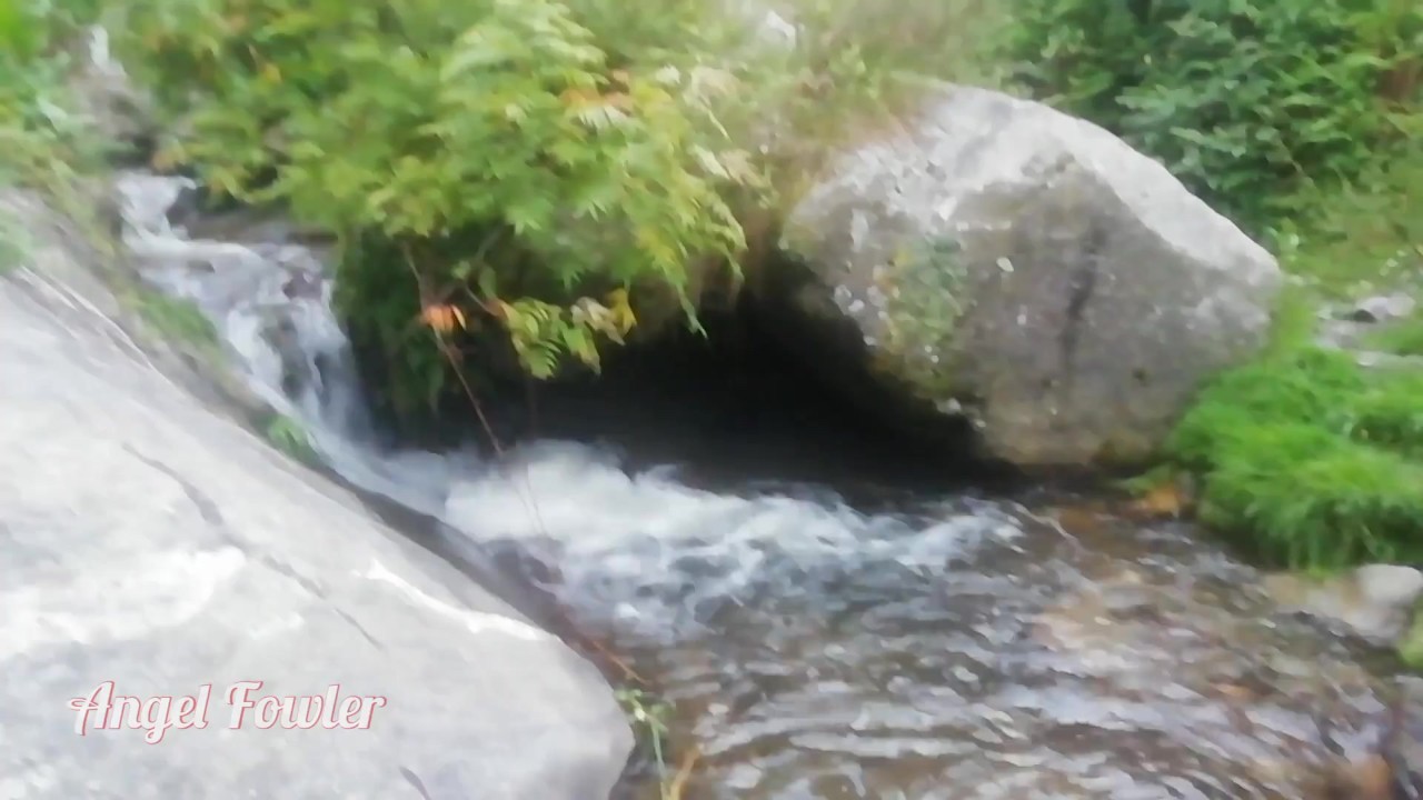 Shameless stops on the road by a stream to pee and change her menstrual cup - almost caught by - Darmowe seks wideo - RedTube