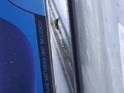 windowbee 3