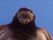 Wild Life / Female POV with Huge Lion Furry 3/16