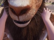 Wild Life / Female POV with Huge Lion Furry 8/16
