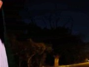 Three Wheel Back side Fuck with Driver 2/16