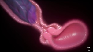 Dragon Futa Fills A Slut With Her Creamy Love