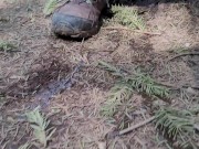 Nerdy's Piss On The Stone 12/16