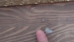 sweet cumshot