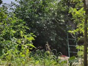 It is always a pleasure to harvest 10/16