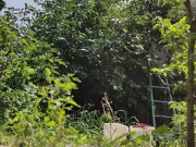 It is always a pleasure to harvest 11/16