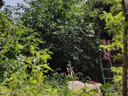 It is always a pleasure to harvest 14/16